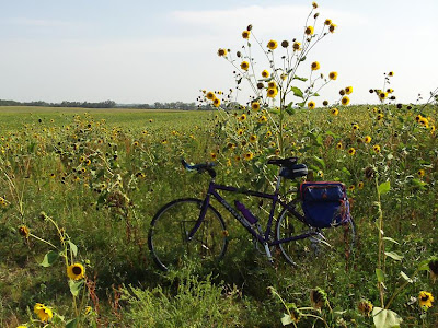 high weeds in industrial park, Madison, SD