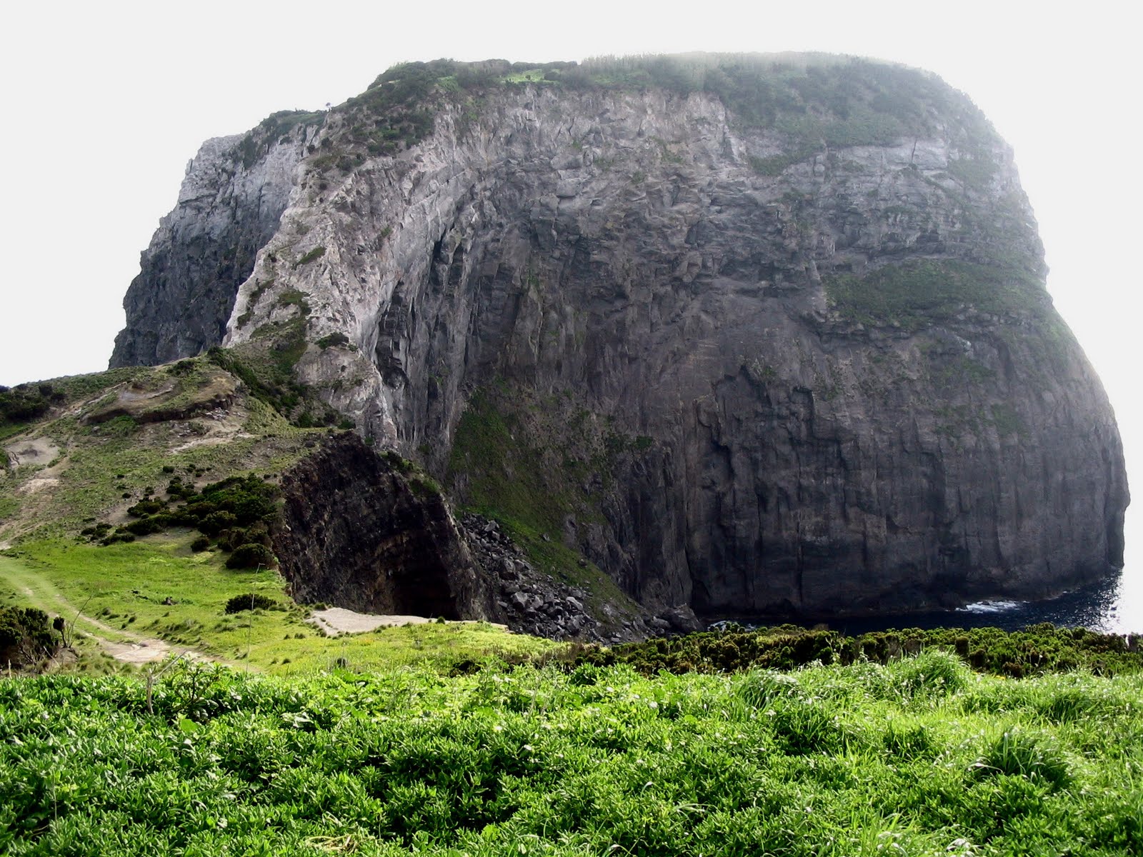 [Blogjardim+077ab.jpg]