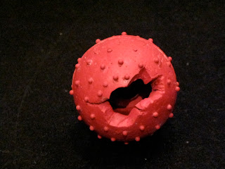 Pimple Ball Dog Toy