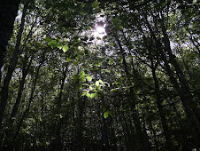 Antes todo era sencillez, rusticidad, paz