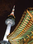 Namsan tower and Korean tradtional house:an example where  tradition and modernisation merges