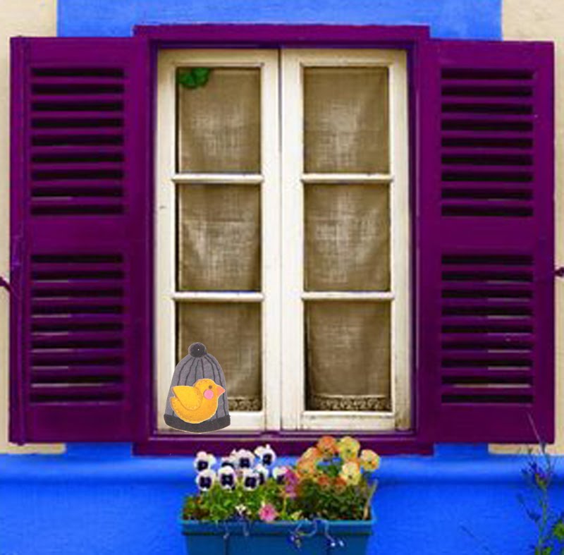 [Imagen+1+de+finestra+i+ocell.jpg]