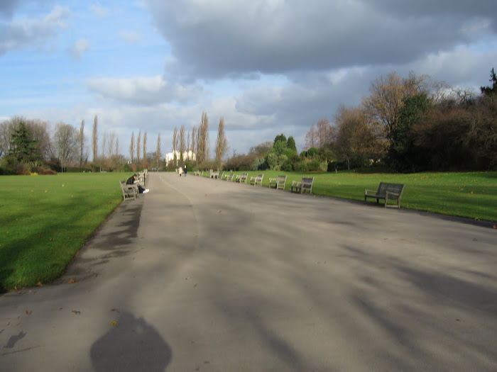Parque