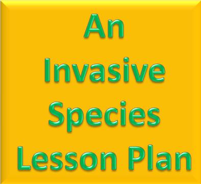 K-8 Classroom Activities: Invasive Species Lesson Plan - Yellow Star