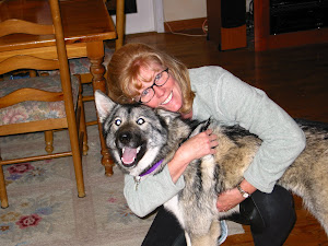 Wiley....my little doggy nurse