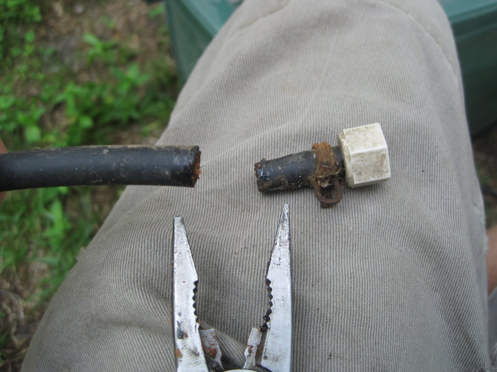 FRESH FARMING Bell Waterer HowTo Guide