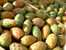 fichi d'india