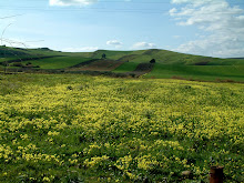 La campagna tra Trapani e Salemi