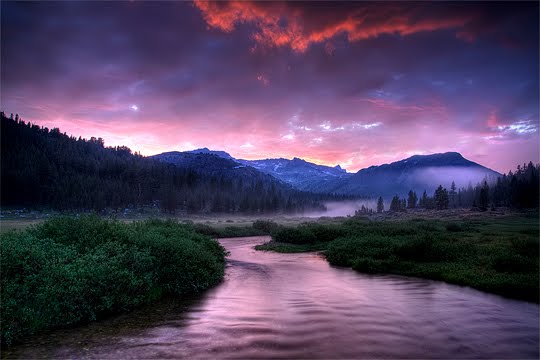Banco de Imágenes Gratis Tributo en