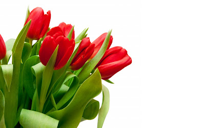 Tulipanes de colores para el Día de las Madres
