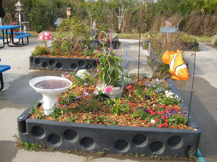 The Sunshine Science Corner School Garden Competition