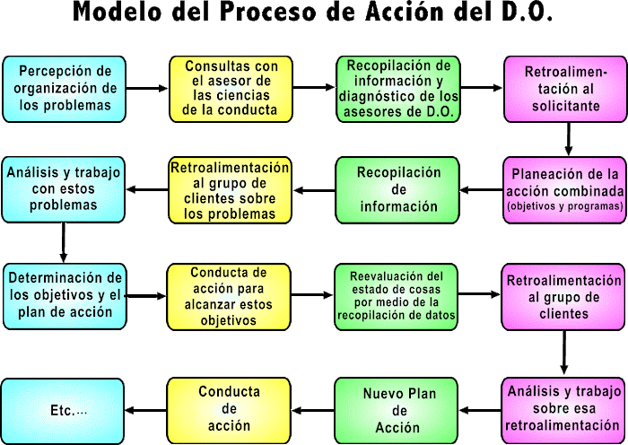 Desarrollo Organizacional: Orígenes del Desarrollo Organizacional (D.O.)
