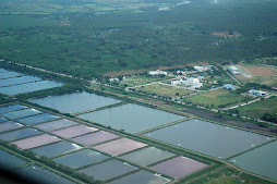 aquaculture and sarangani capitol