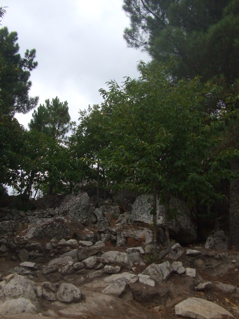 [DSCF2275.JPG]