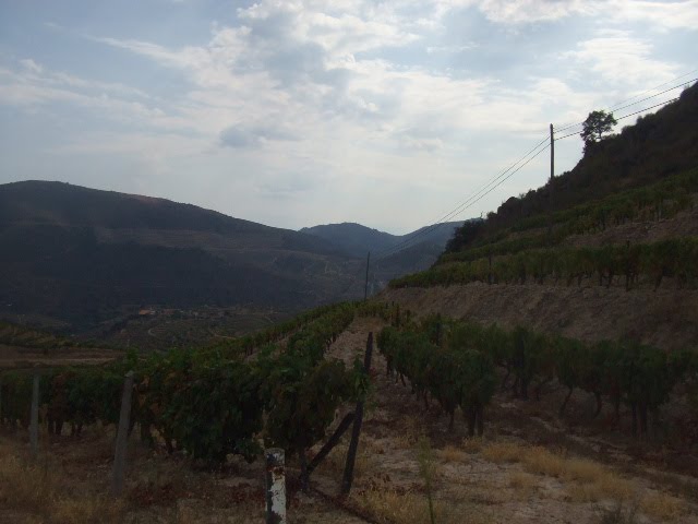 [DSCF2329.JPG]