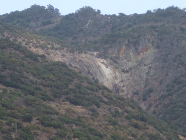 [DSCF2319.JPG]