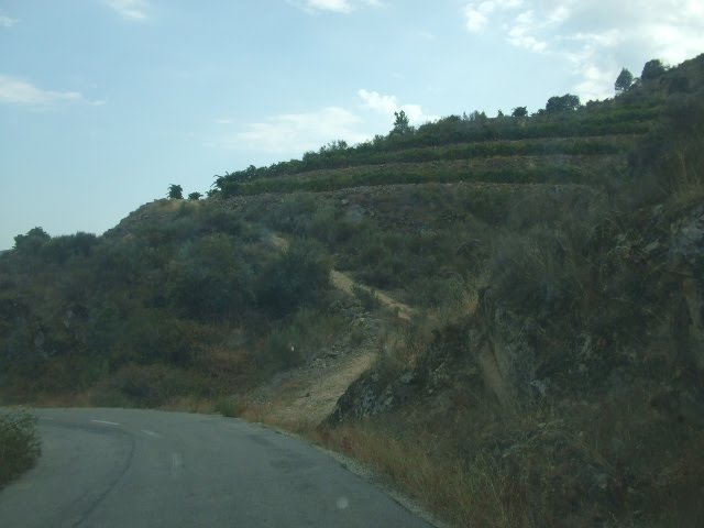[DSCF2315.JPG]