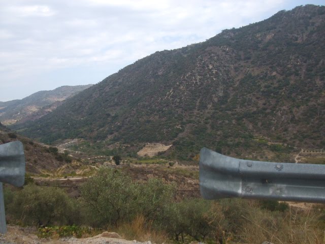 [DSCF2313.JPG]