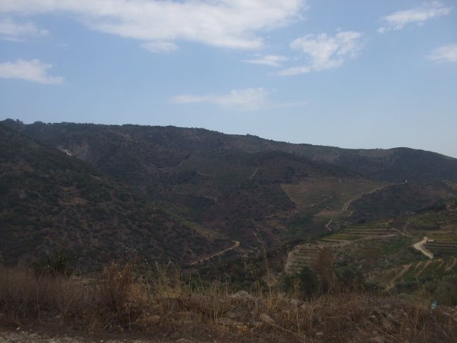 [DSCF2312.JPG]