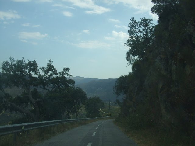 [DSCF2306.JPG]