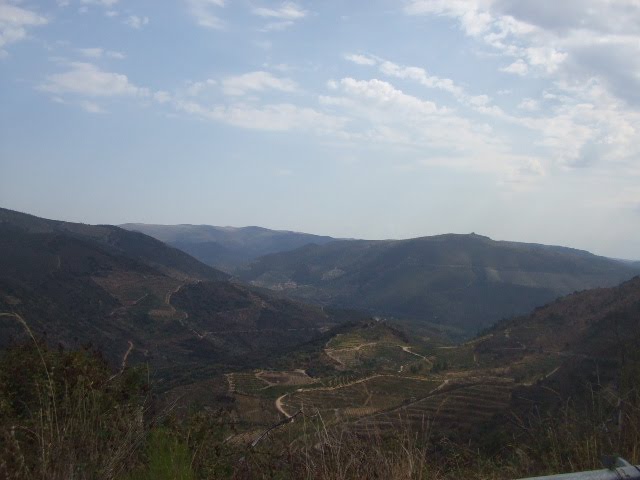 [DSCF2299.JPG]