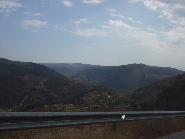 [DSCF2304.JPG]