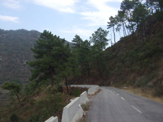 [DSCF2296.JPG]
