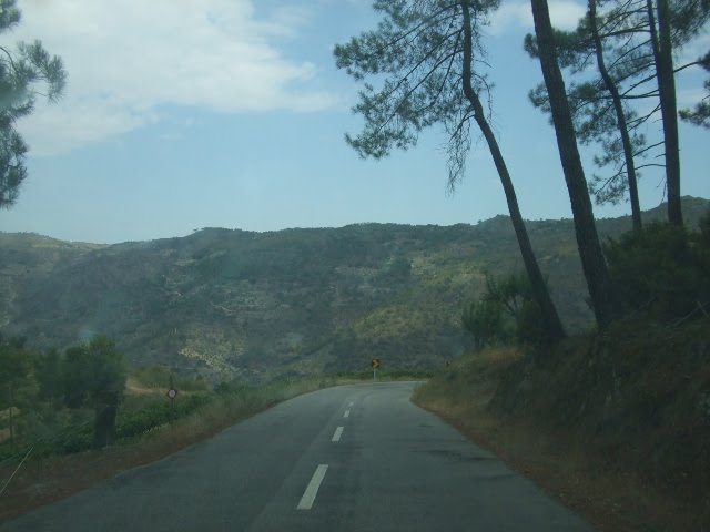 [DSCF2290.JPG]