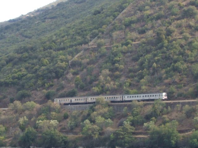 [DSCF2401.JPG]