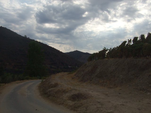 [DSCF2381.JPG]