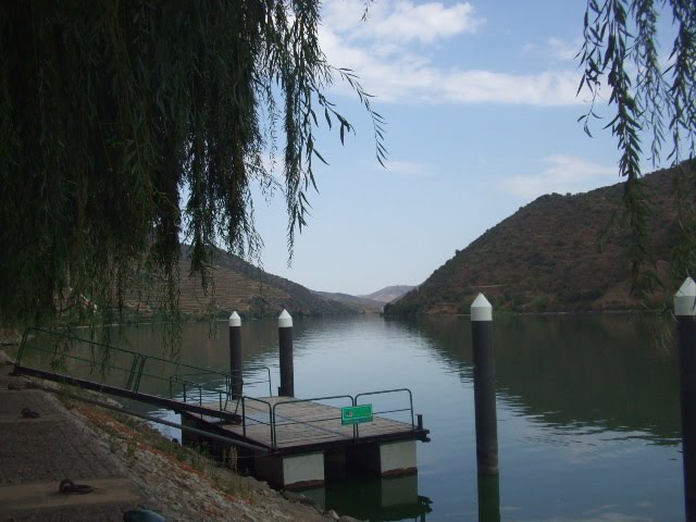 [DSCF2373.JPG]