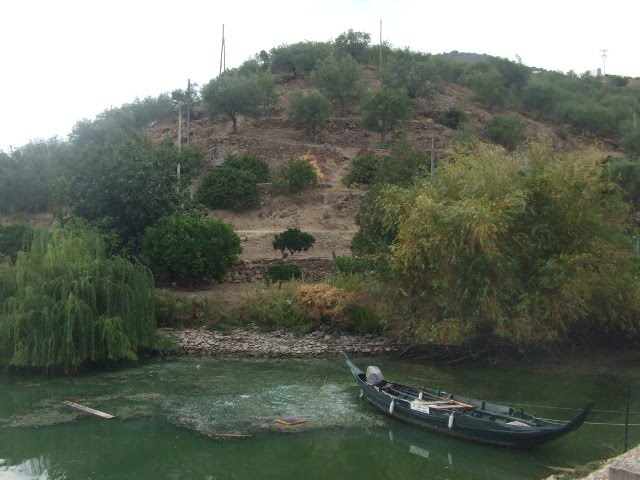 [DSCF2369.JPG]