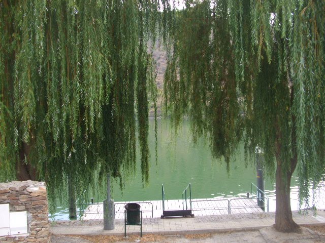 [DSCF2366.JPG]