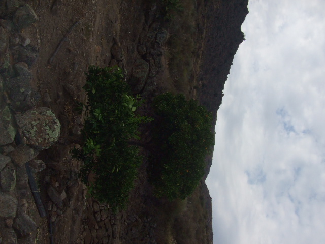 [DSCF2351.JPG]