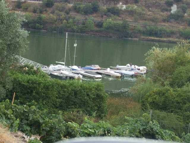 [DSCF2361.JPG]