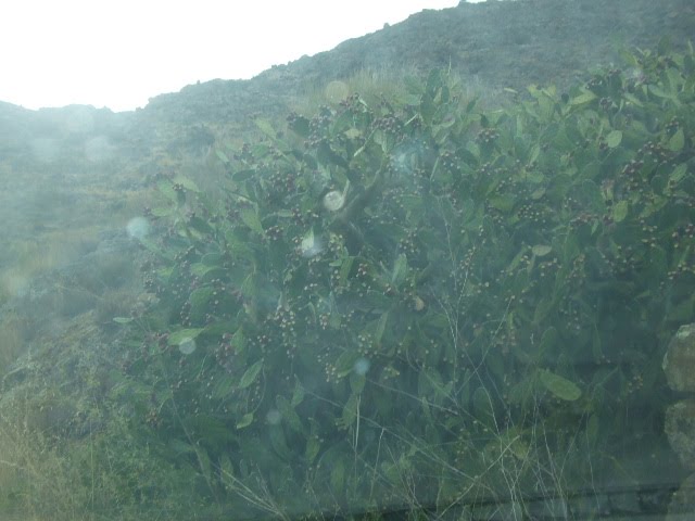 [DSCF2349.JPG]