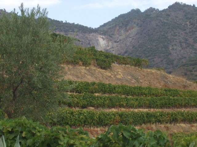 [DSCF2340.JPG]