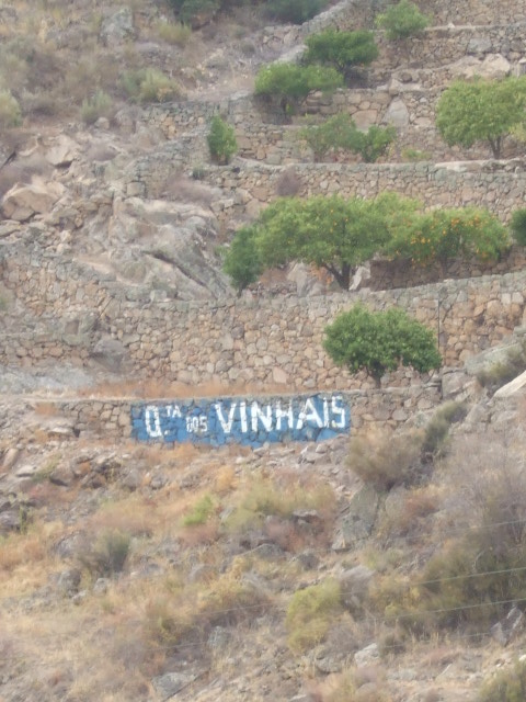 [DSCF2339.JPG]