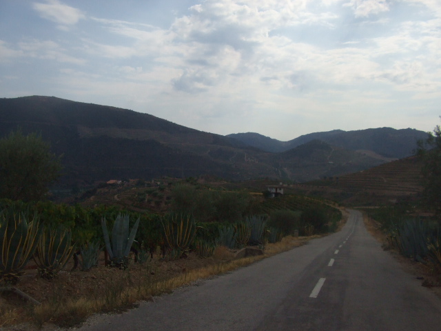 [DSCF2335.JPG]