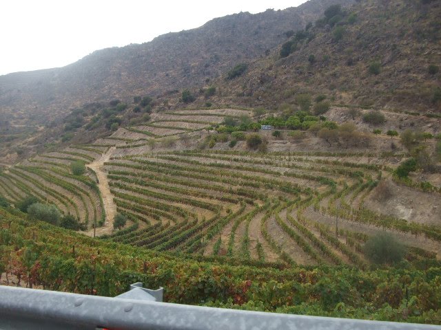 [DSCF2333.JPG]