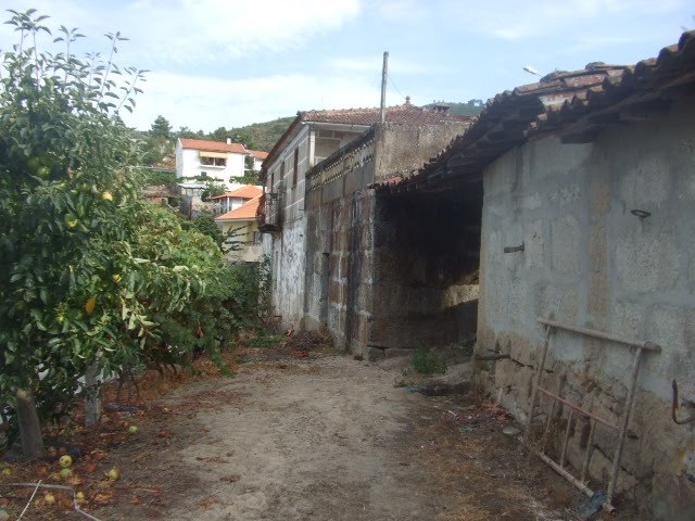 [passeios+121.JPG]