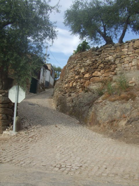 [passeios+113.JPG]