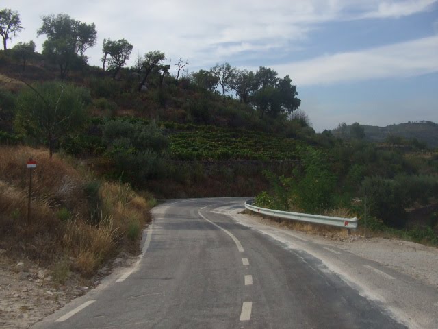 [passeios+039.JPG]