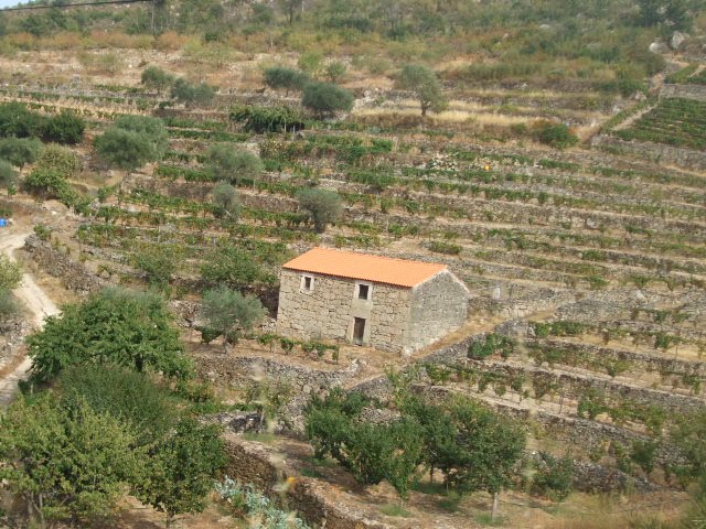 [passeios+028.JPG]