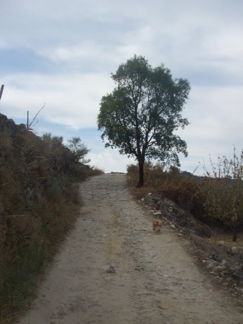 [paradela2+042.jpg]