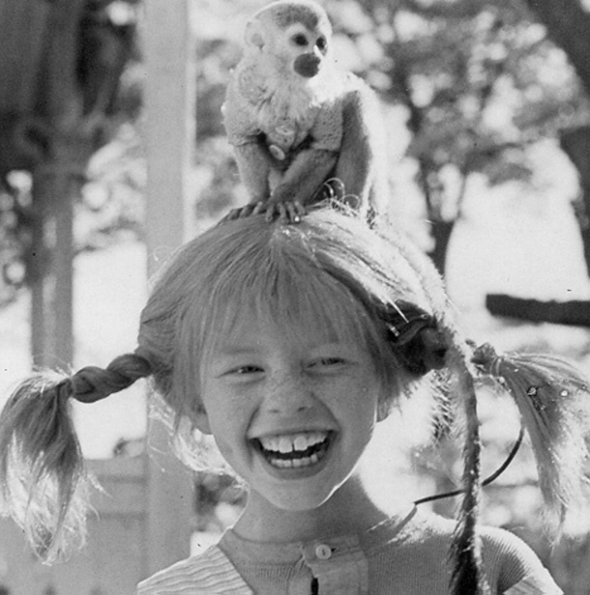Pippi — Rezepte Suchen