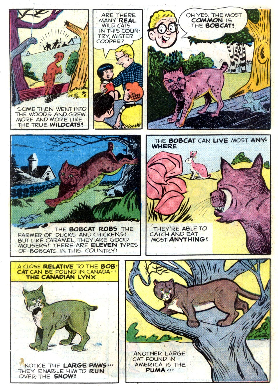 Read online Little Archie In Animal Land comic -  Issue #1 - 30