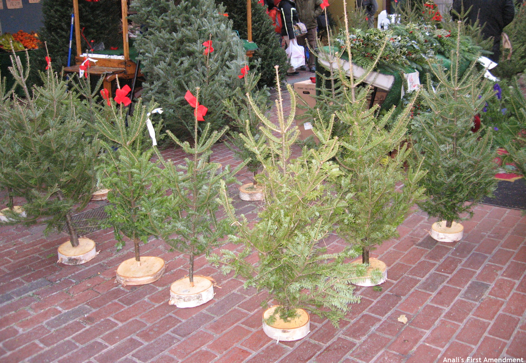 Charlie Brown Christmas Trees