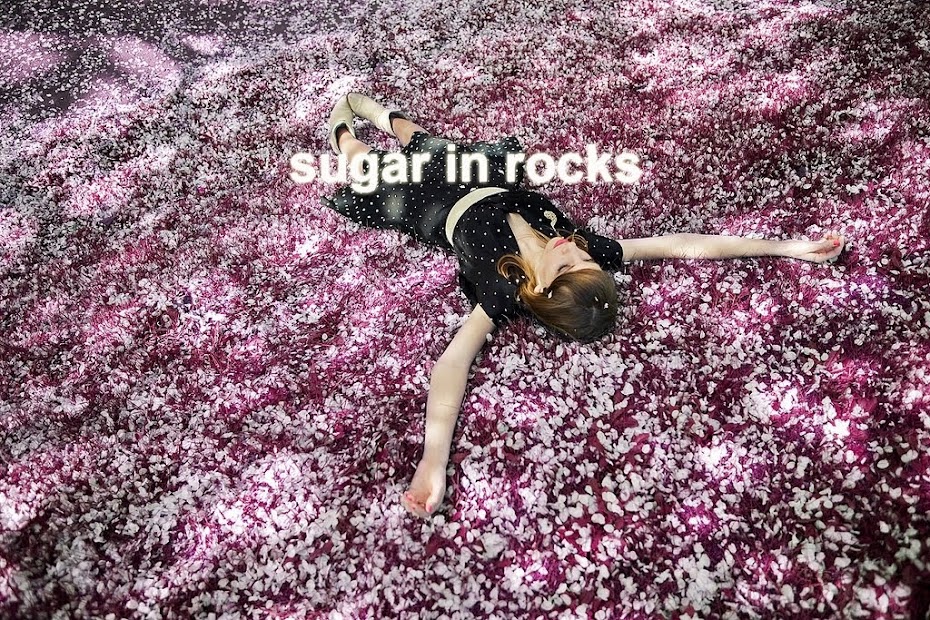 sugar in rocks