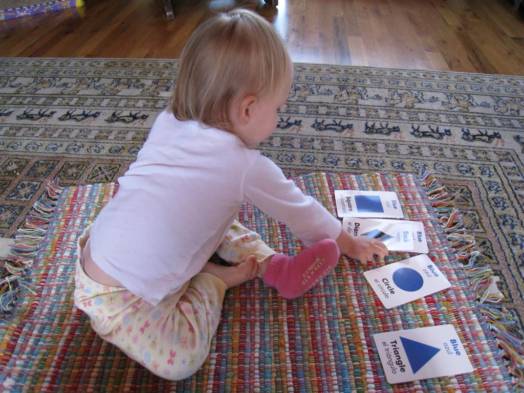 [IMG_3260+(Large).JPG]